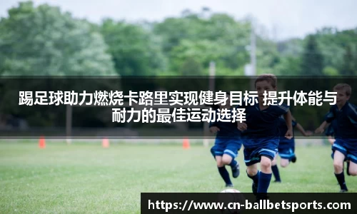 BB贝博体育